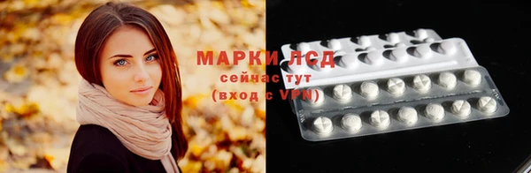 стаф Арсеньев