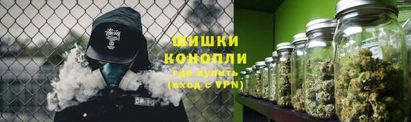 стаф Арсеньев